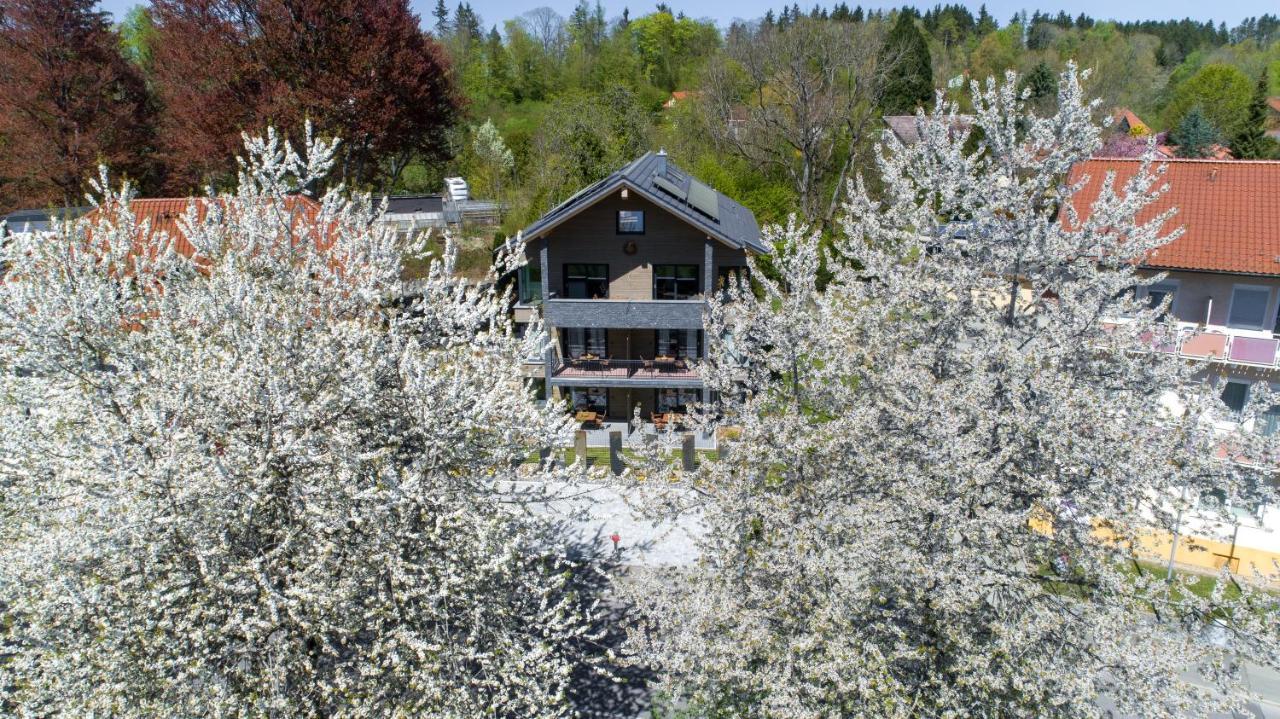 Invita Natur-Chalets Bad Dürrheim Kültér fotó